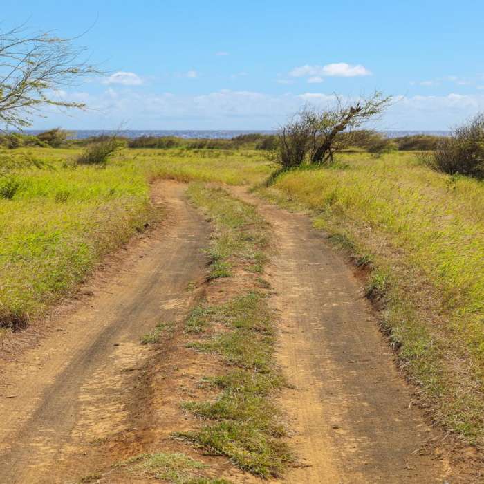 Near Mahana Green Sand Beach Hike Near Mahana Green Sand Beach Hike