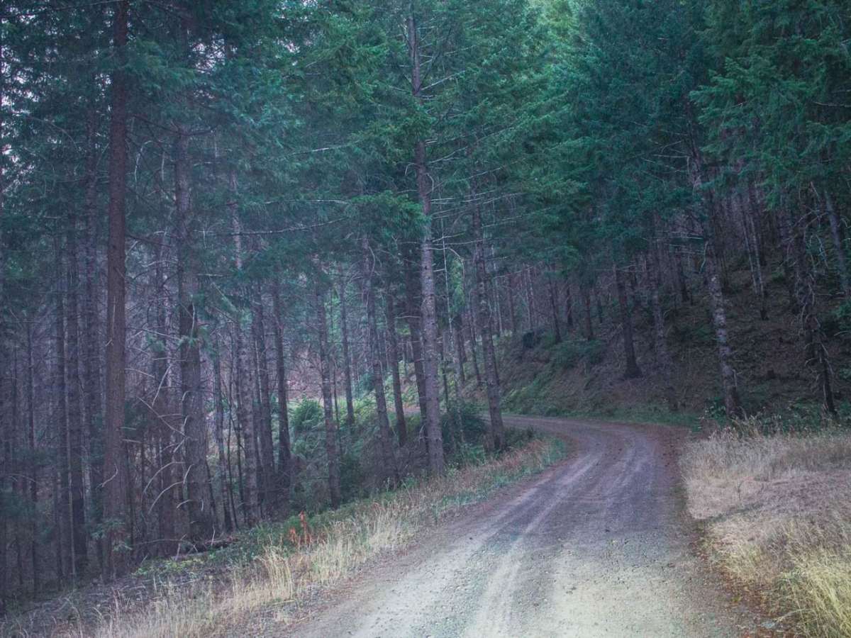 Timber Creek photo 4