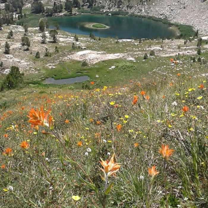 Near Island Lake #17111