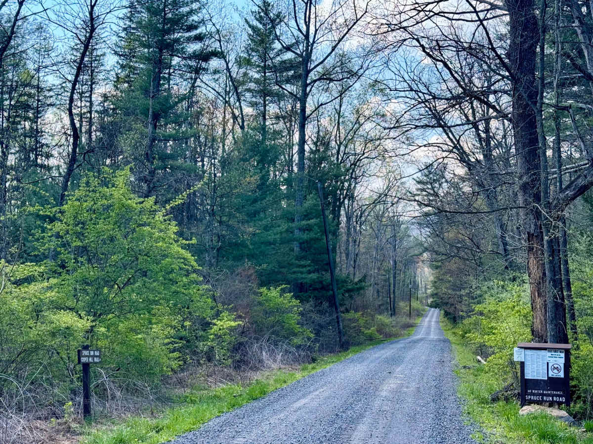 East Spruce Run Road trail photo