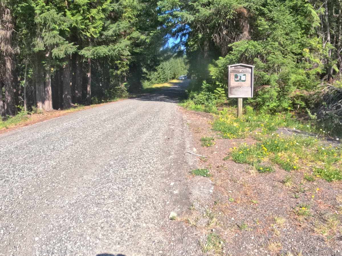 Marion Creek Road - FS 2255-000 photo 4