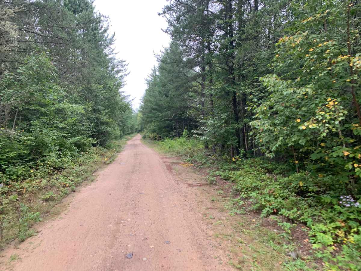 Vermigrade Spur D Trail photo 5