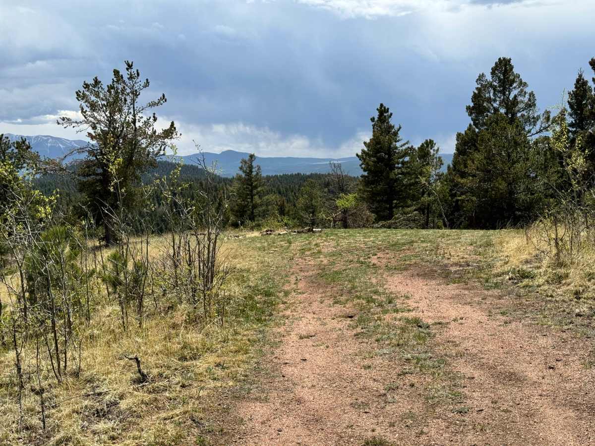 Upper Johnson Gulch Rd (FS300) photo 5
