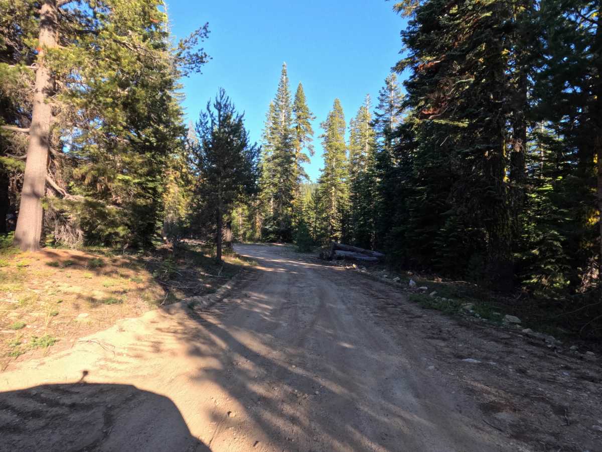 Windmiller Tie - FS 12N25 trail photo