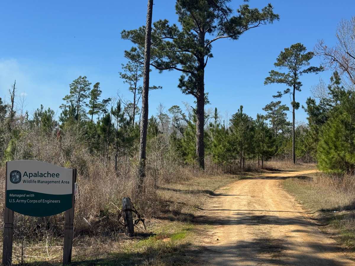 Rock Pond Road trail photo