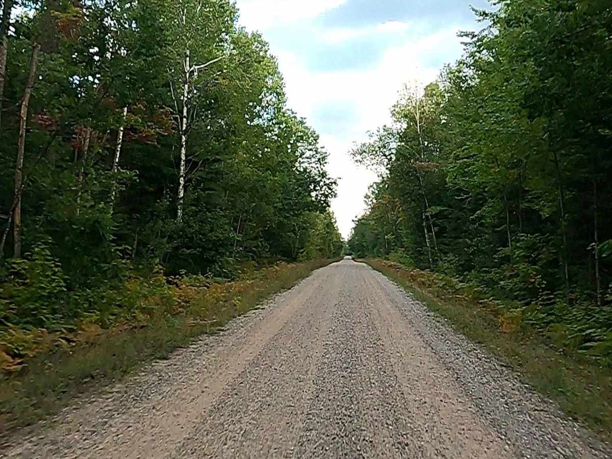 Waishkey River Truck Trail/Road - FS 3352 photo 4