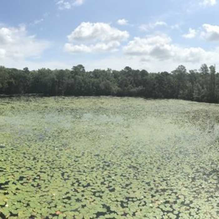 Near Graham Swamp Trail