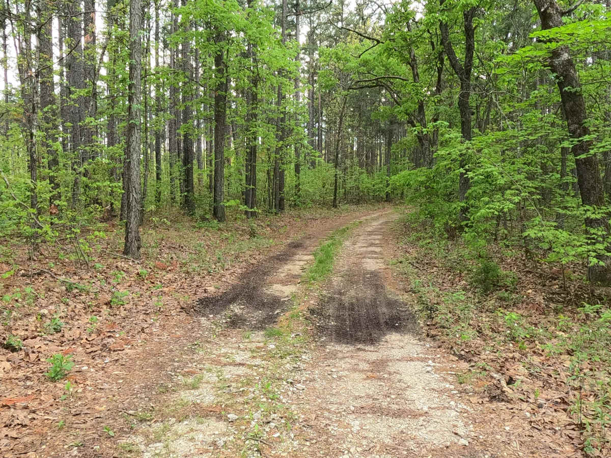 James Ridge - FS 2754 photo 5