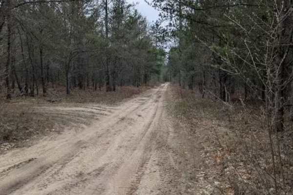 Osceola Trail South