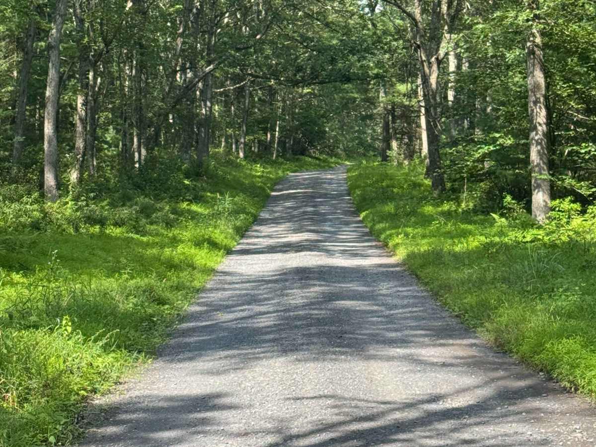 Silver Springs Road photo 2