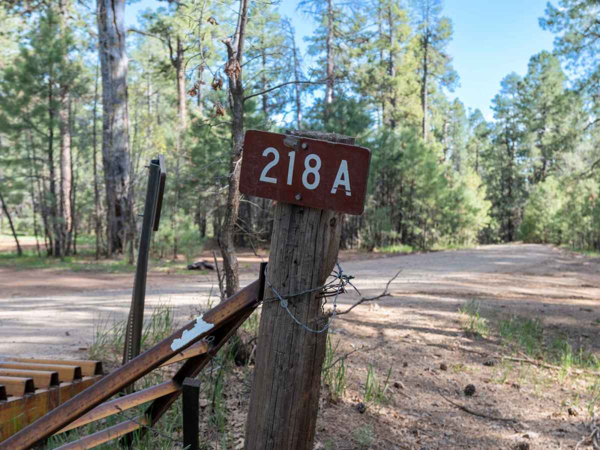 FS 218A trail photo