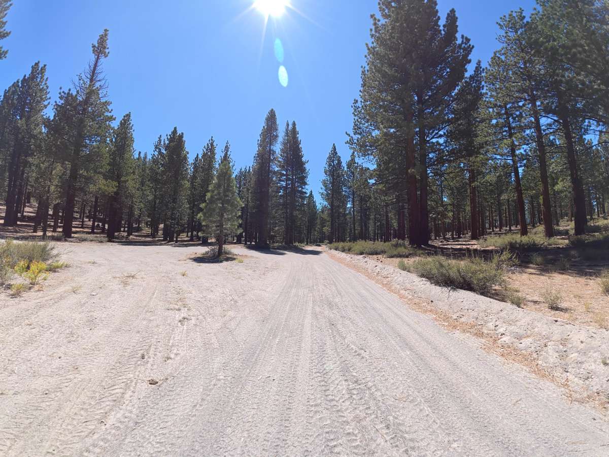 Dry Creek Road - FS 3S117 photo 4