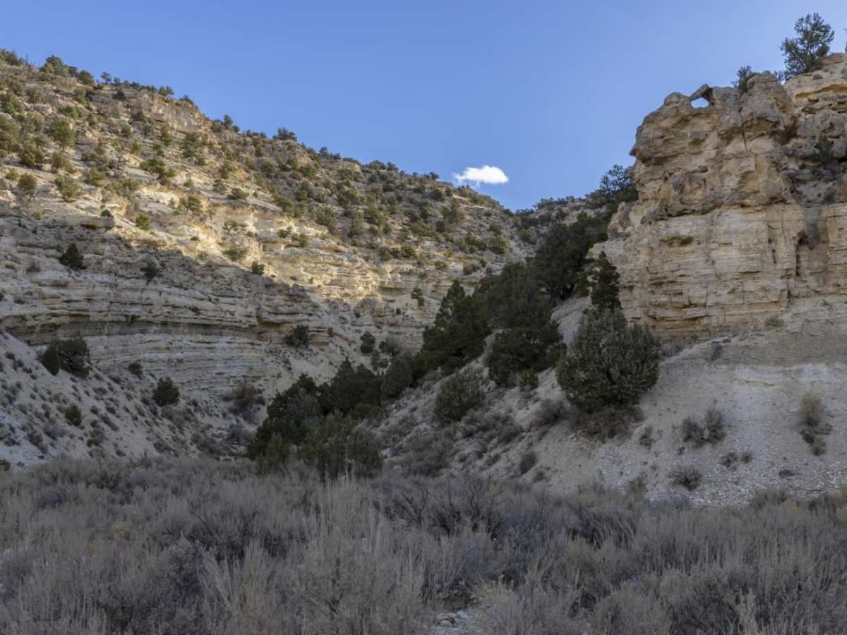 Soldier Canyon Road trail photo