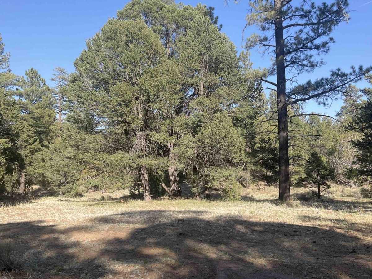 Marshall Lake Road photo 4