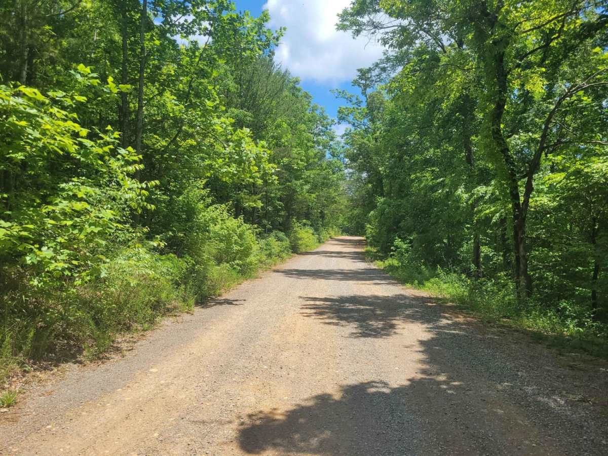 Ladd Springs Road (221) photo 3