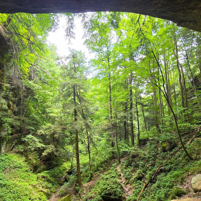 Near Cantwell Cliffs