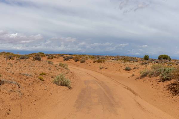 Spring Canyon Point