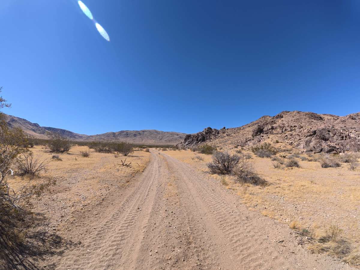 BLM SV2674 photo 4