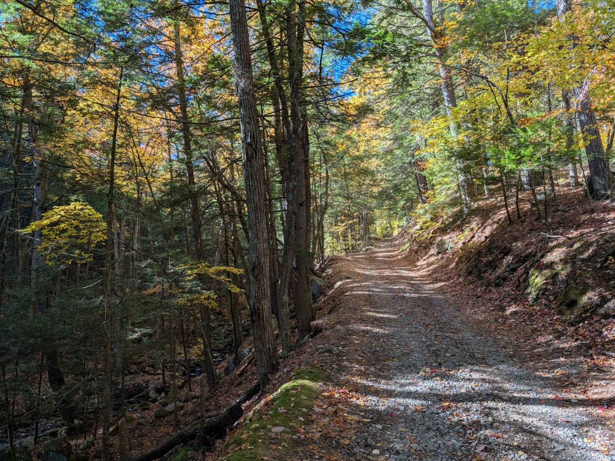 Big Hollow Road trail photo