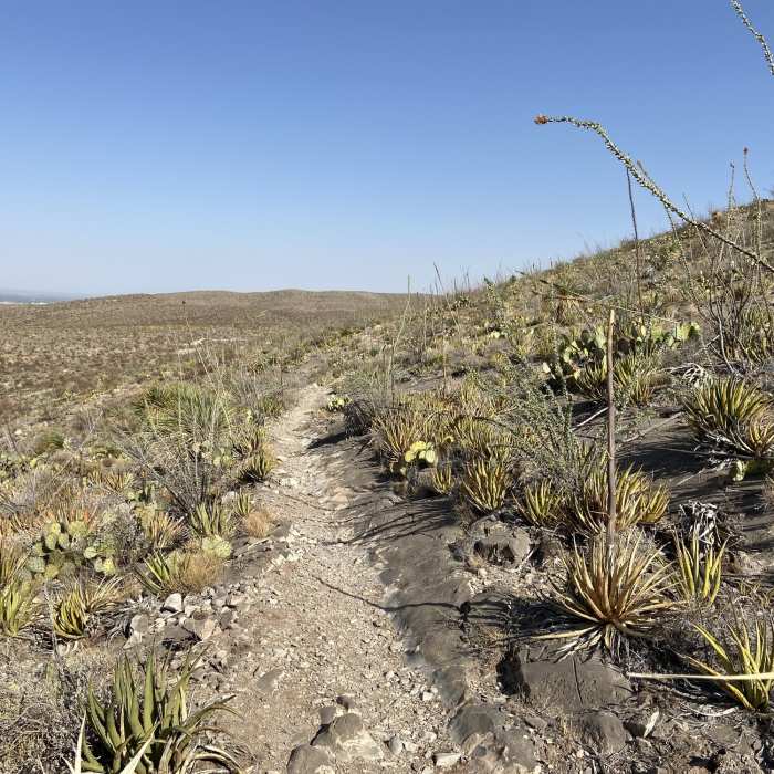Lower sunset facing northwest. Near Sunset Loop