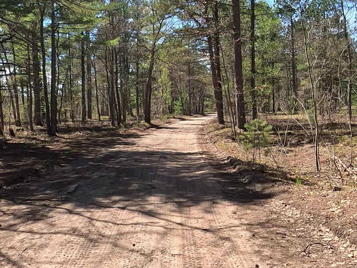 W Betsy River Road photo 6