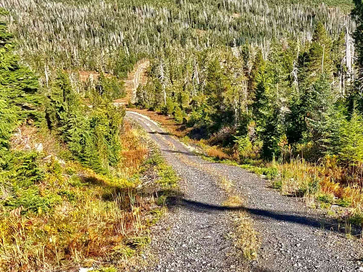 Fiddler Creek Road - FS 3015635 trail photo