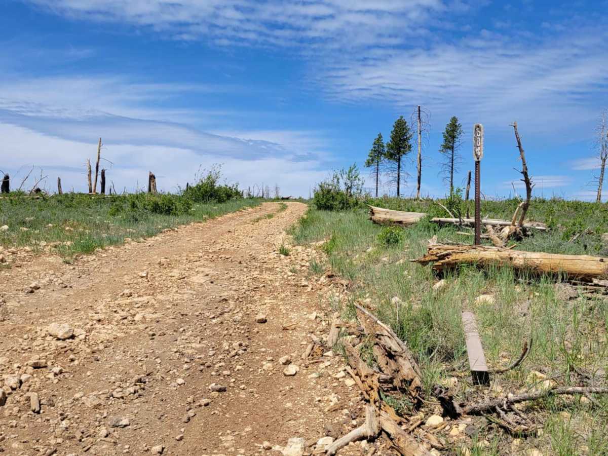 Billingsly Creek Draw trail photo