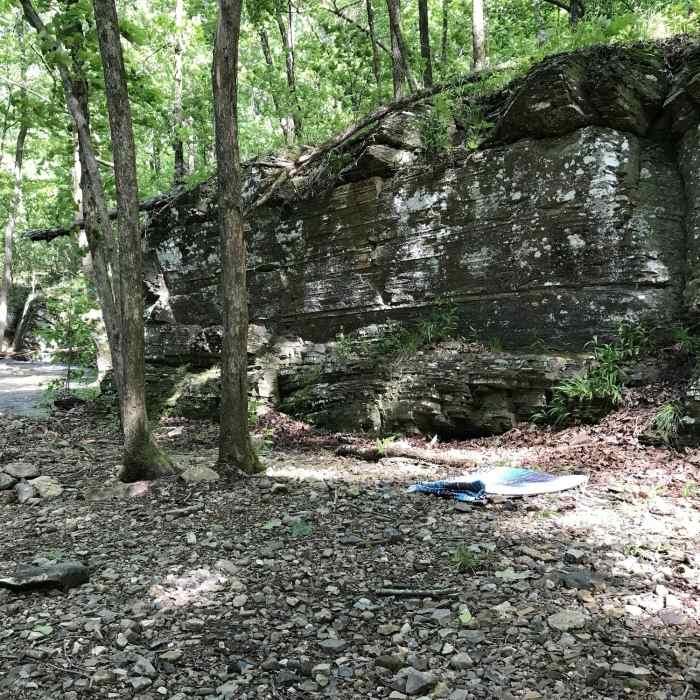 Near Caney Creek Trail