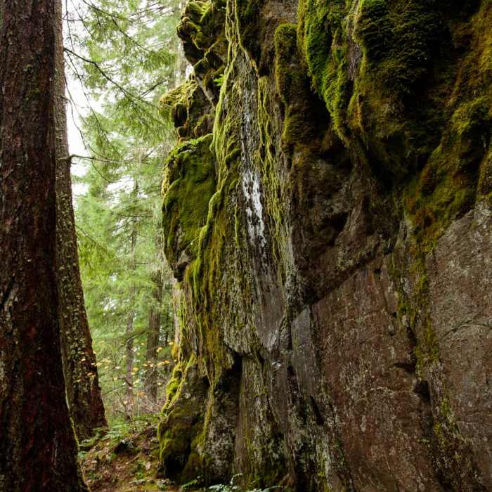 Near Falls Creek Falls