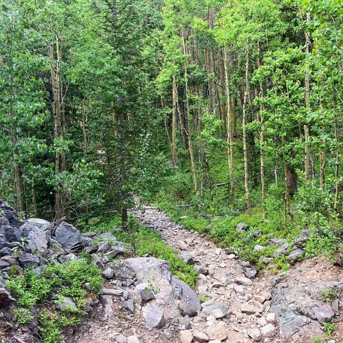 Near North Crestone Trail