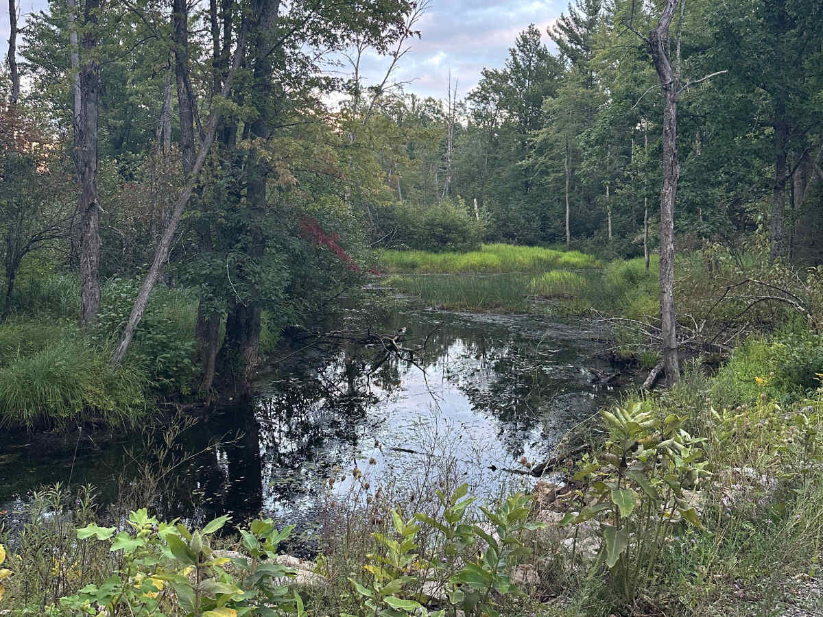 Barney Lake Road photo 3