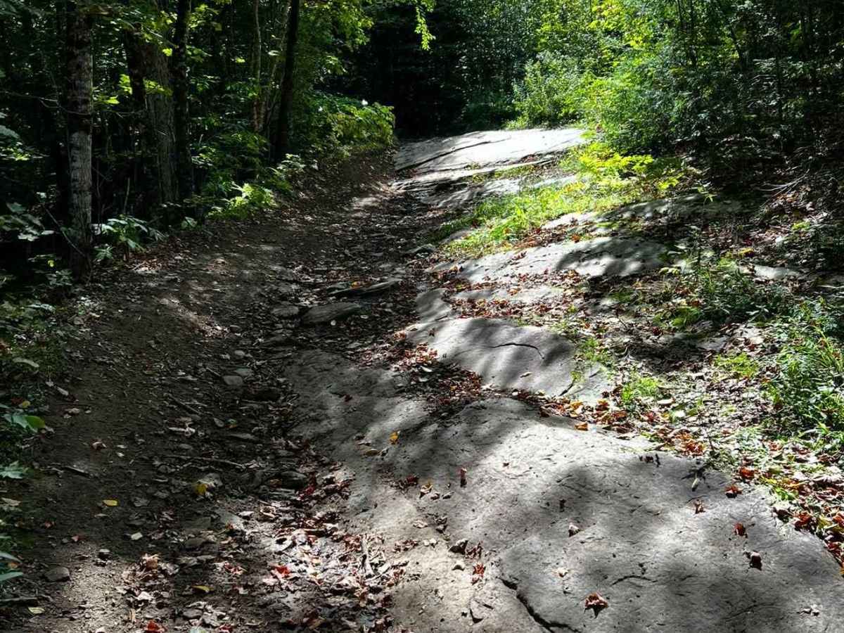 Oxbow photo 6