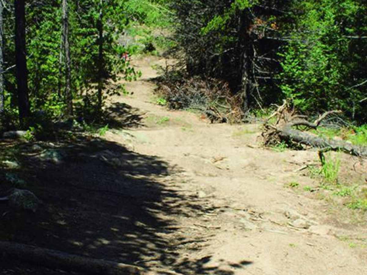 Pierson Park Road photo 4