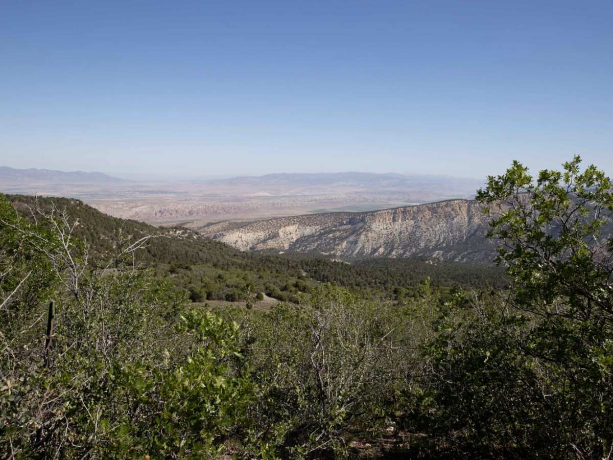 Cedar Mountain East Ridge photo 6