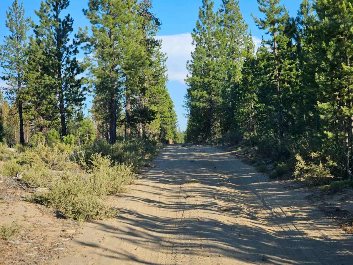 FS 4032000 trail photo