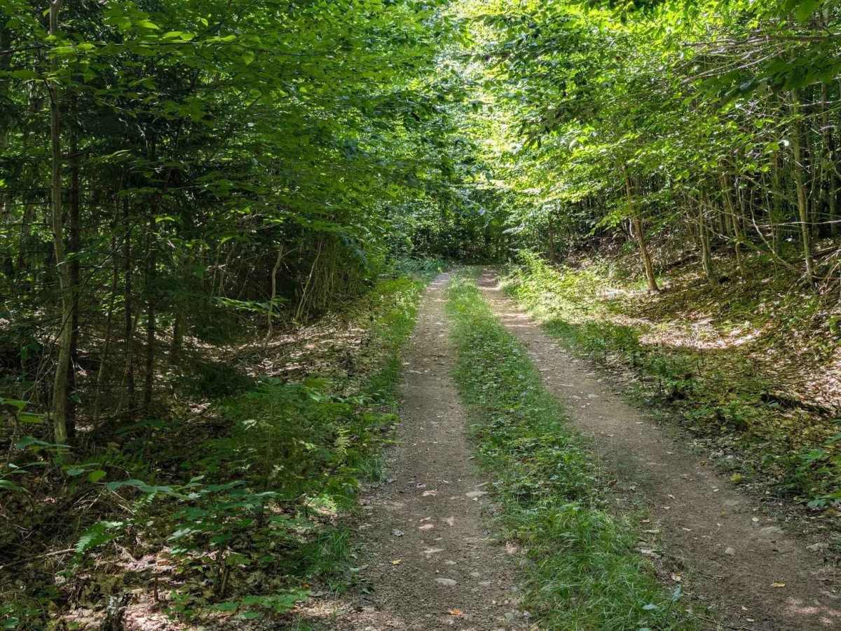 Pleasant Lake Access Road photo 3