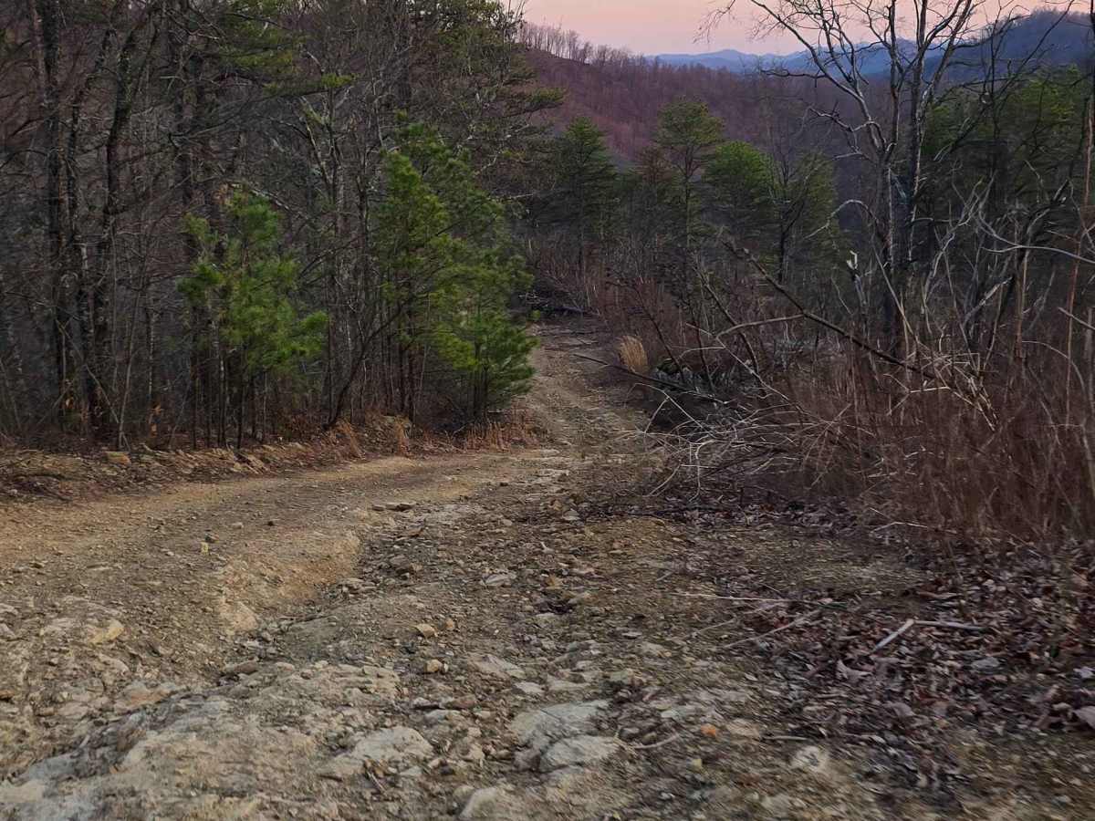 Buffalo Mountain trail photo