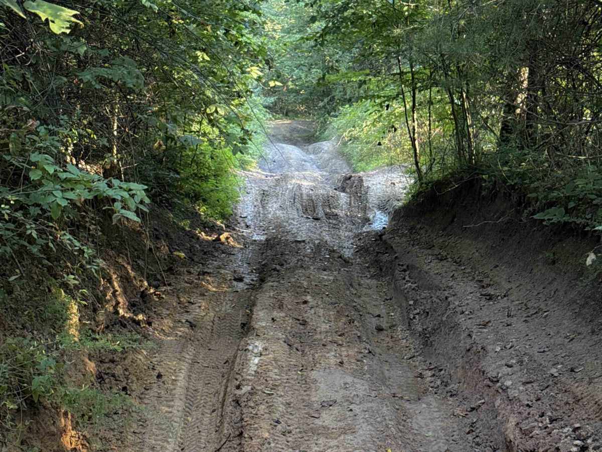 Campbell’s Split  trail photo
