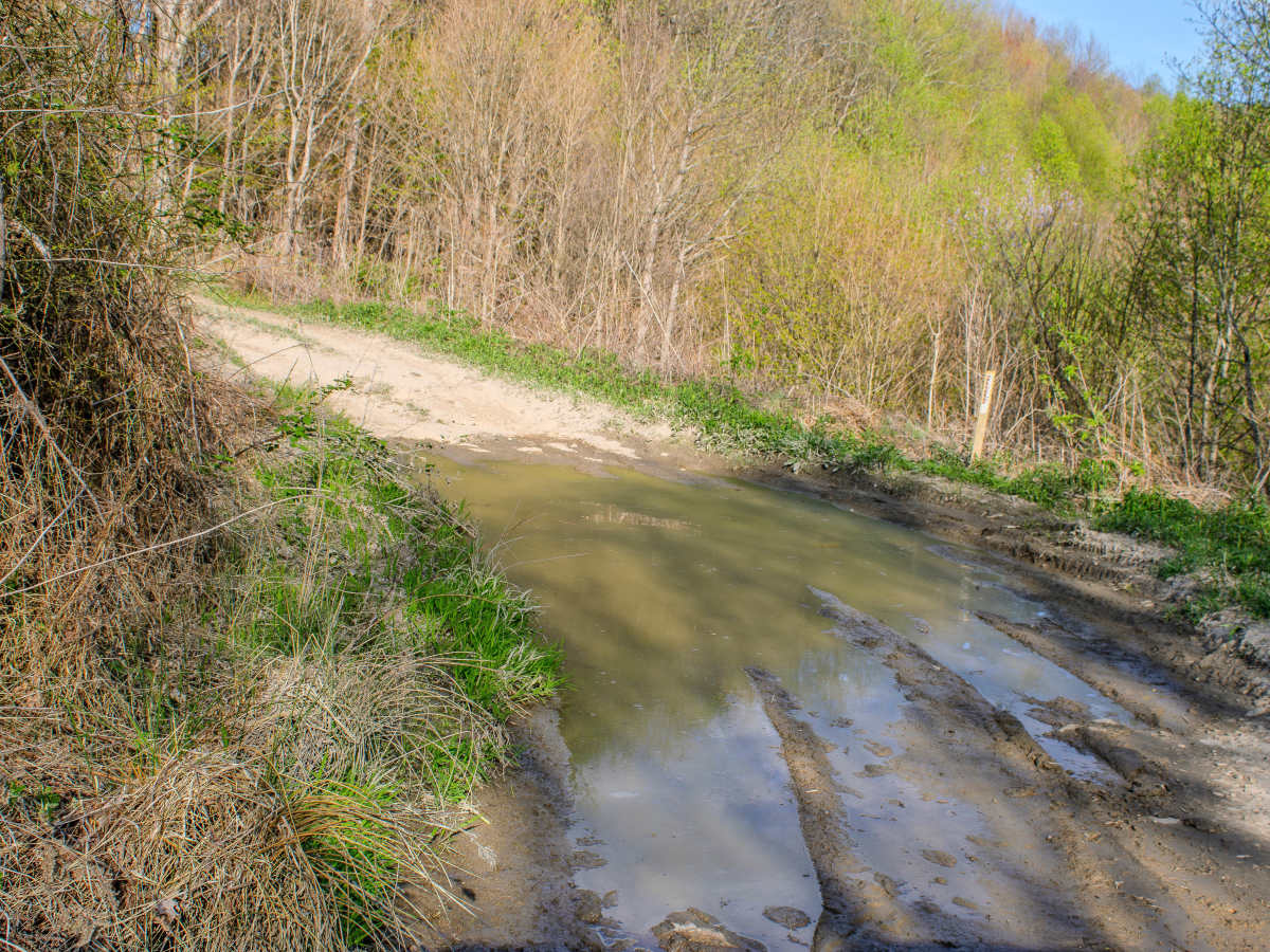 S4  photo 3