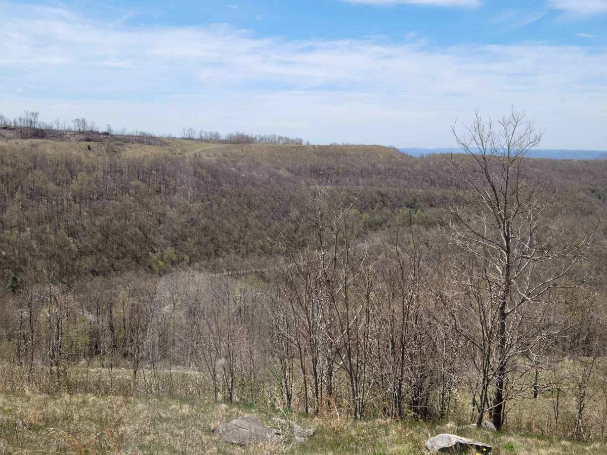 Bald Knob photo 4