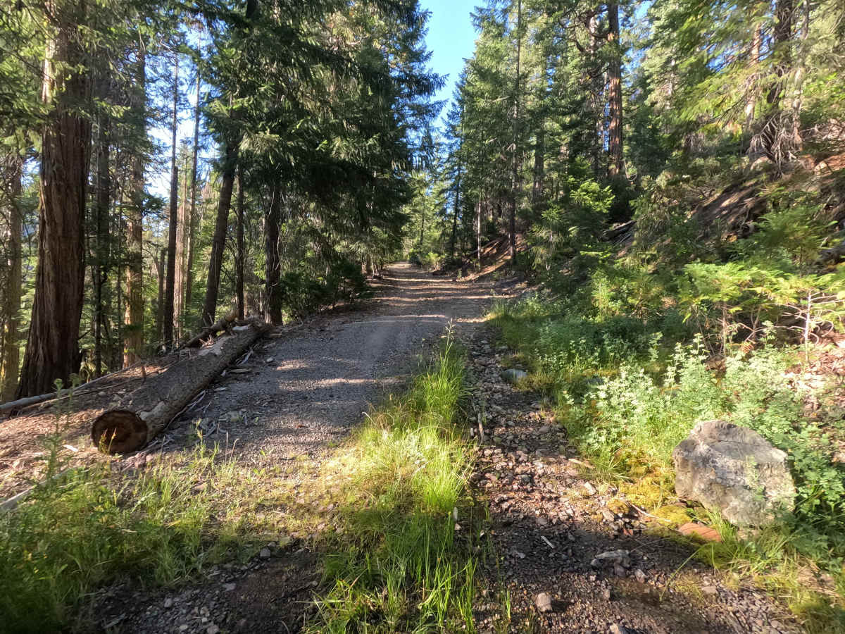 Rock Creek - FS 39N78 trail photo