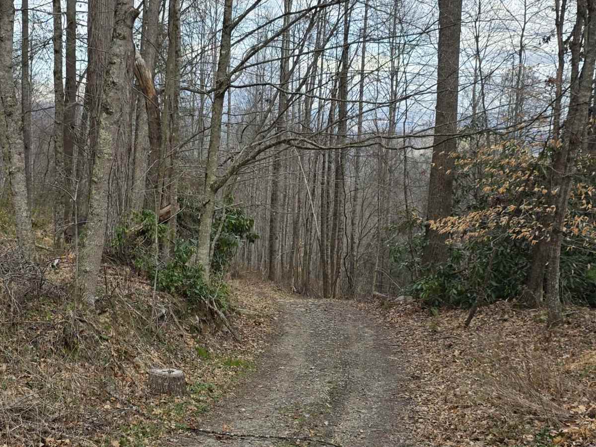 White Oak Flats photo 2