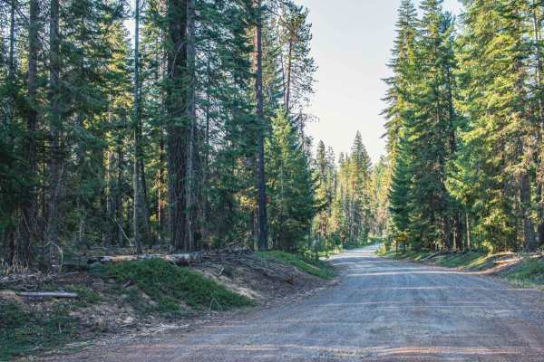 Lost Creek Loop
