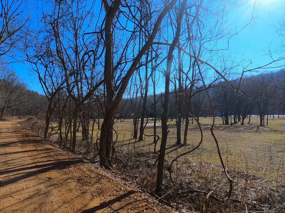 Radford Hollow - RCR 848 photo 6