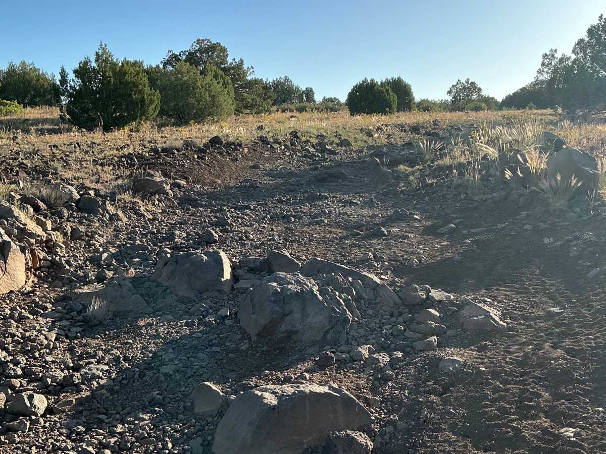 FS 9C trail photo