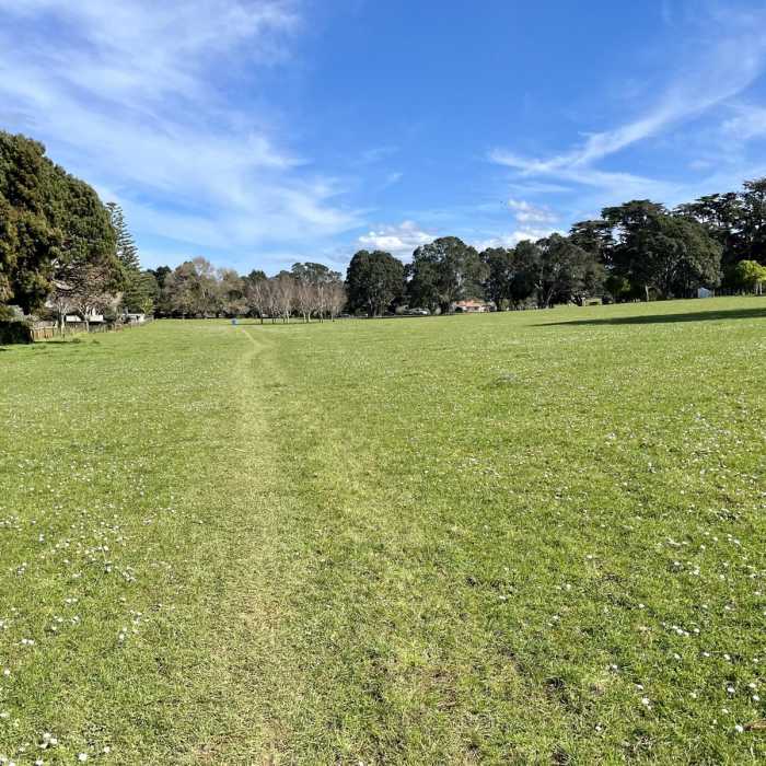 Near Cornwall Park Outer Loop