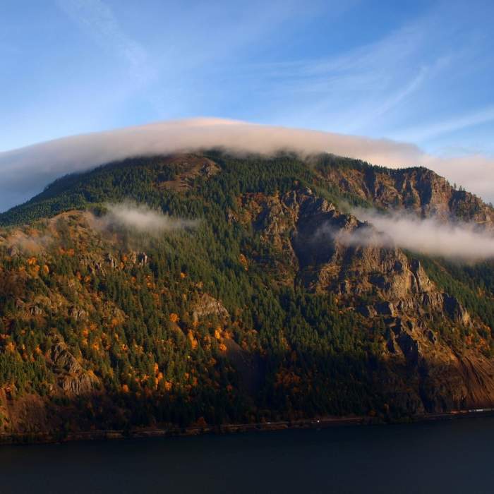 Near Starvation Ridge Trail #414