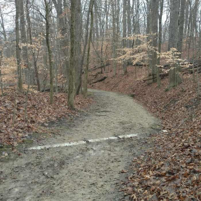 Near Old Carriage Trail