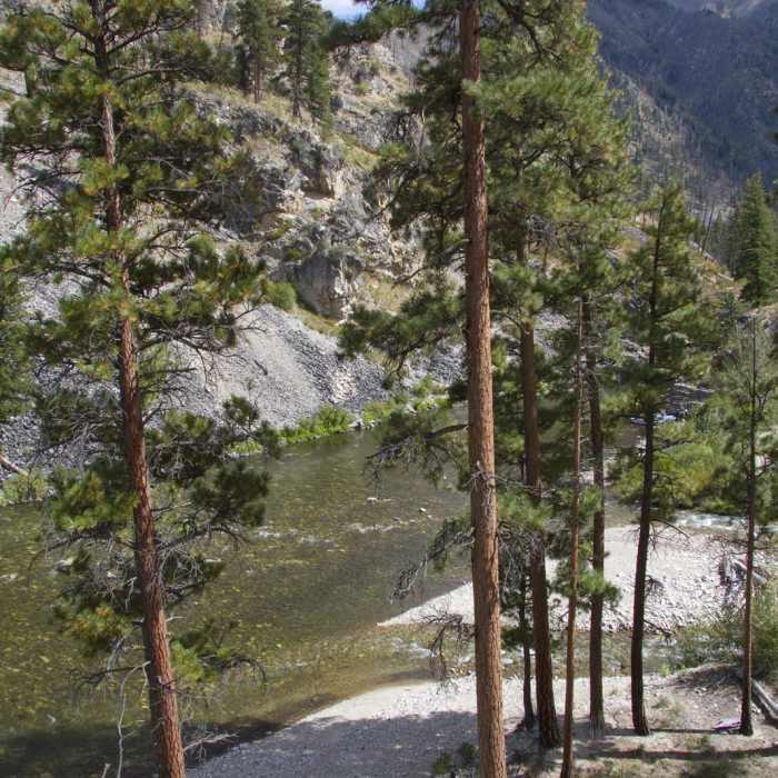 Near Middle Fork of the Salmon River Trail a Day 2