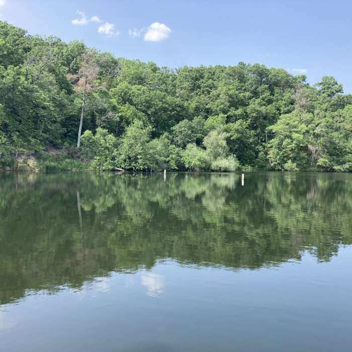 Near Little Falls Trail Near Little Falls Trail